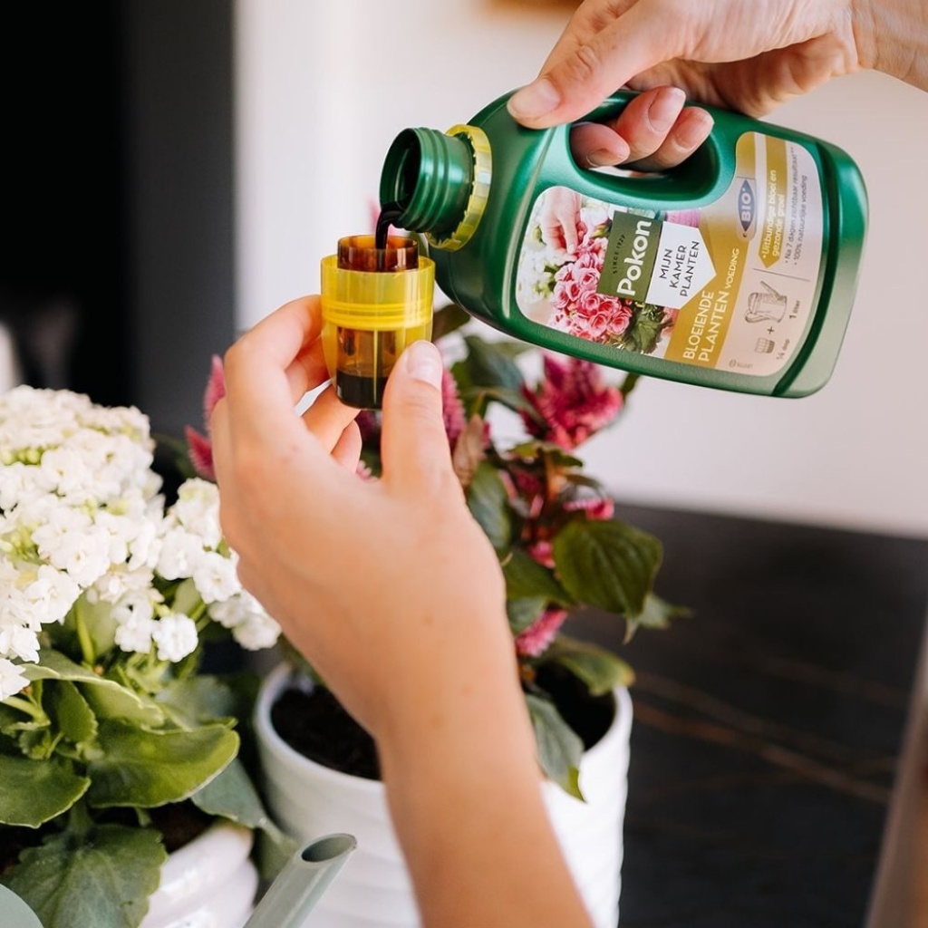 Pokon Bio Bloeiende Planten Voeding 500ml