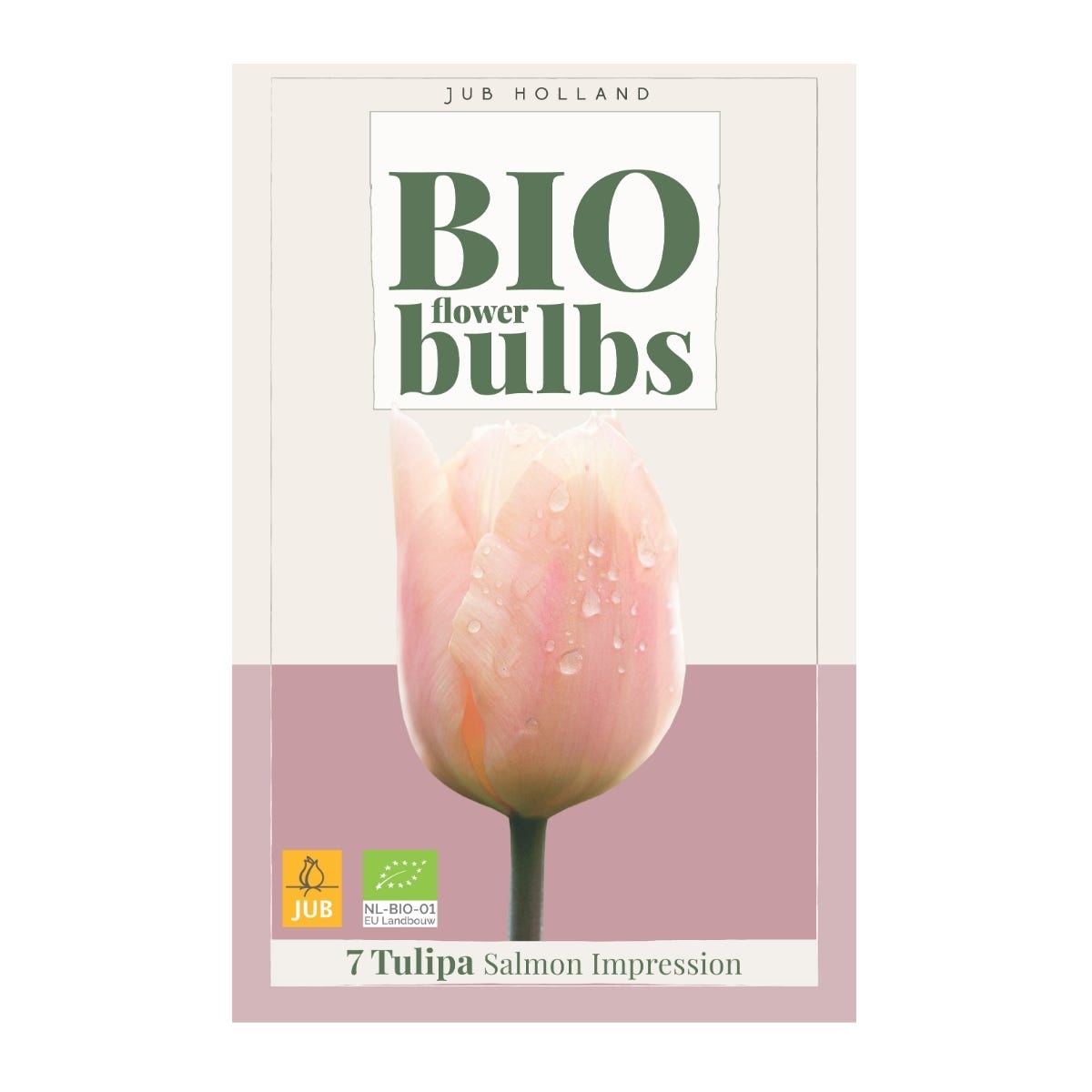 JUB Holland Bloembollen Tulp (Tulipa 'Salmom Impression') Biologisch 7 stuks