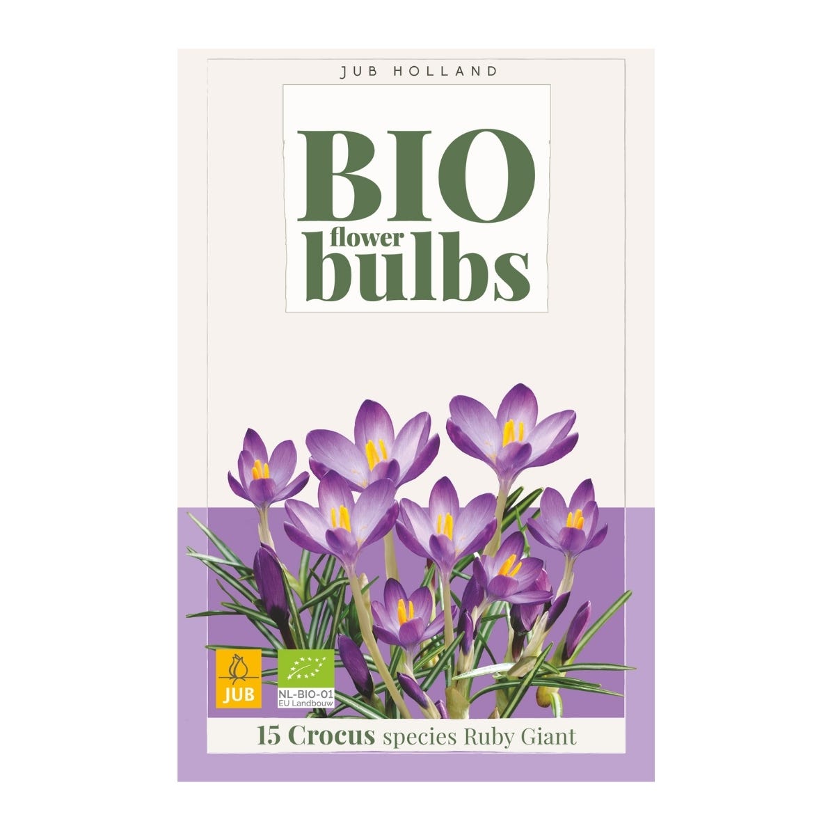 JUB Holland Bloembollen Krokus (Crocus 'Species Ruby Giant') Biologisch 15 stuks
