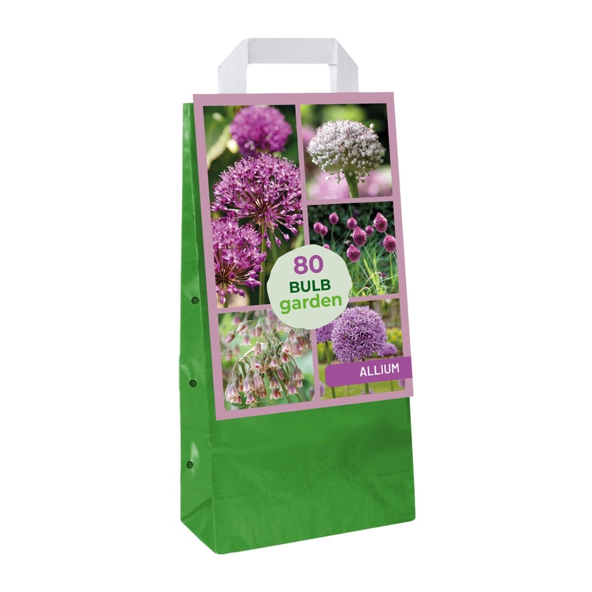 JUB Holland Bloembollen Sierui (Allium 'Garden Mix') 80 stuks