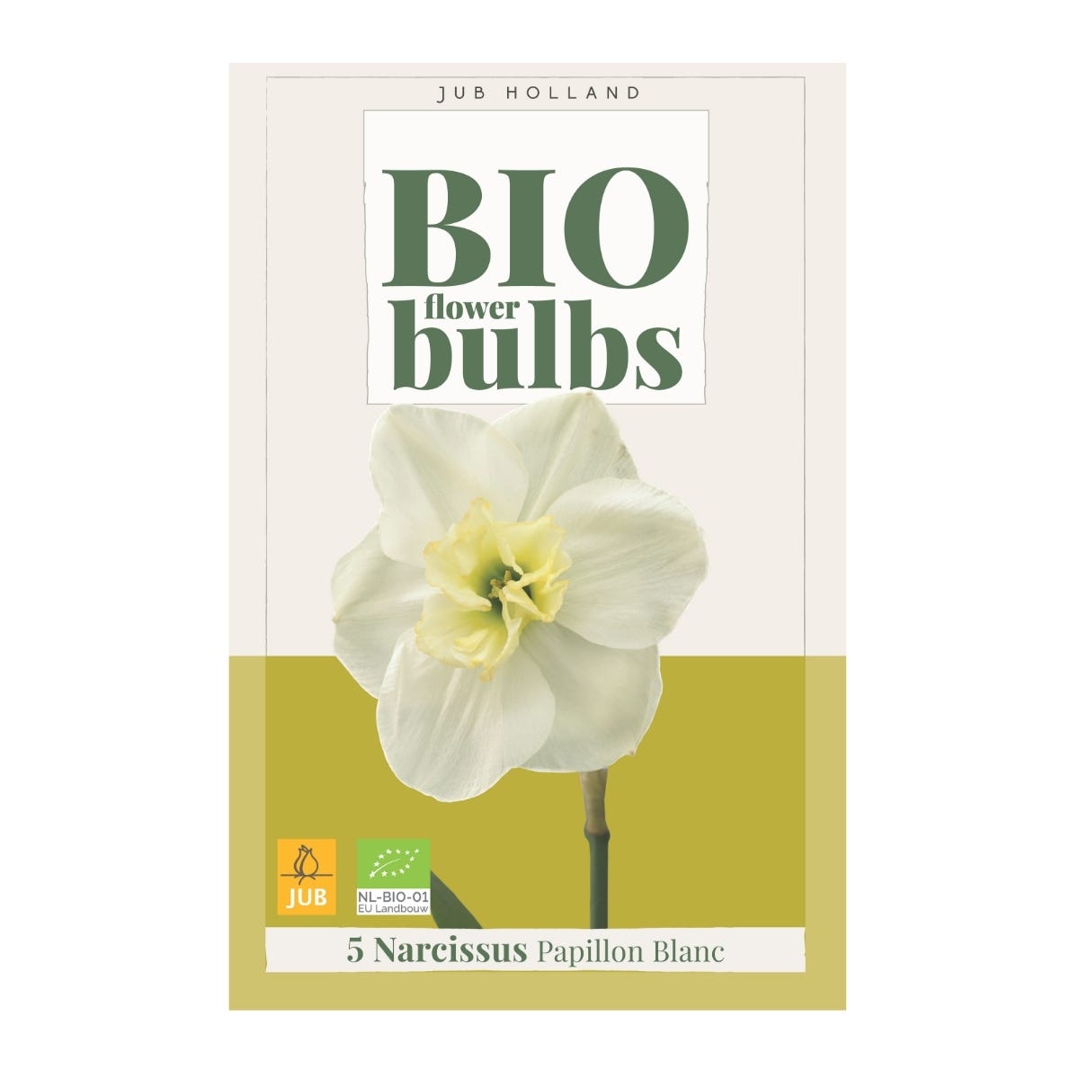 JUB Holland Bloembollen Narcis (Narcissus 'Papillon Blanc') Biologisch 5 stuks