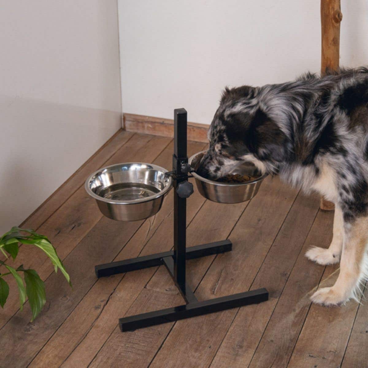 Beeztees Voerstandaard Dinerset Hond Zwart 54 x 25 x 52 cm