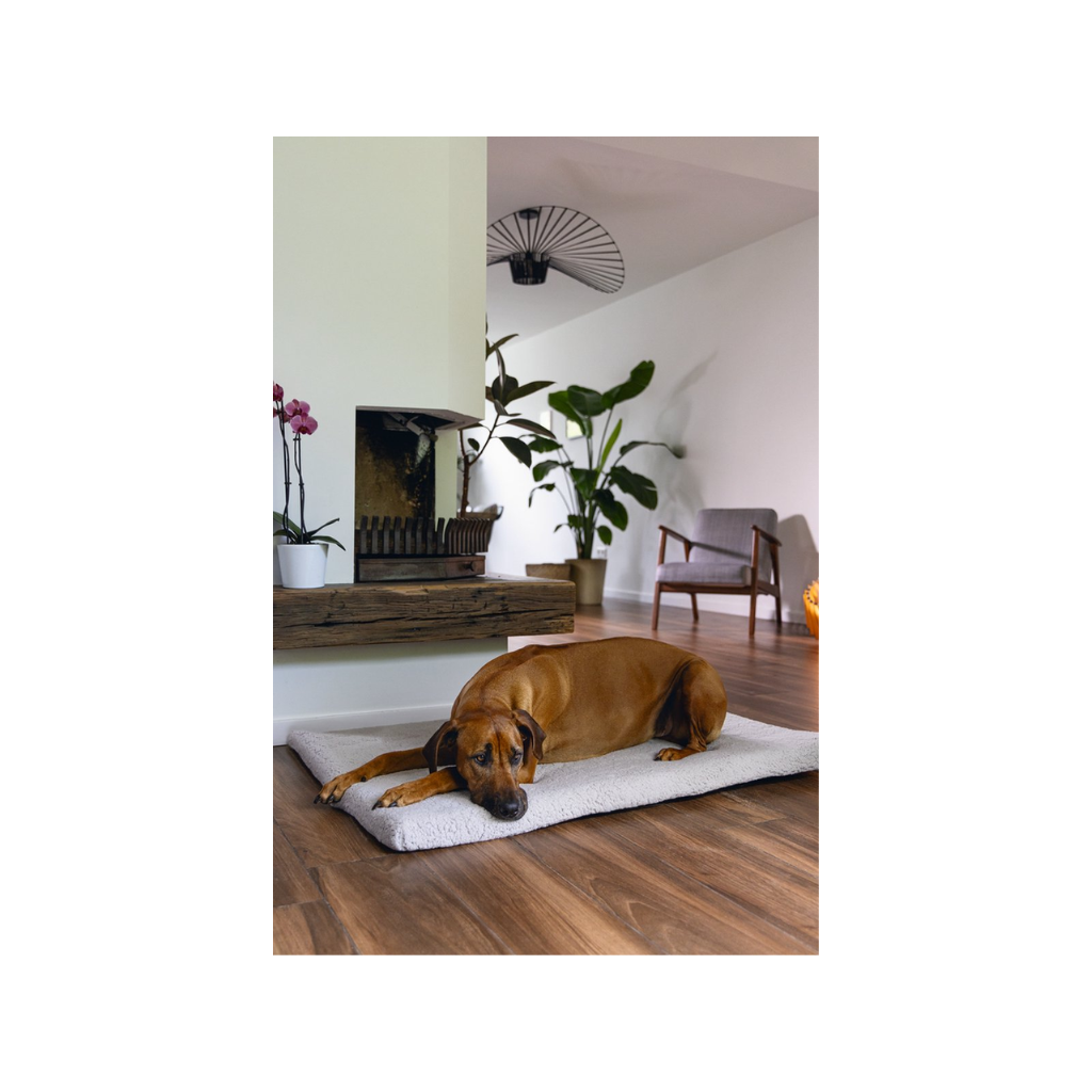 Beeztees Orthoped Benchk Ito Licht Grijs 109 x 69
