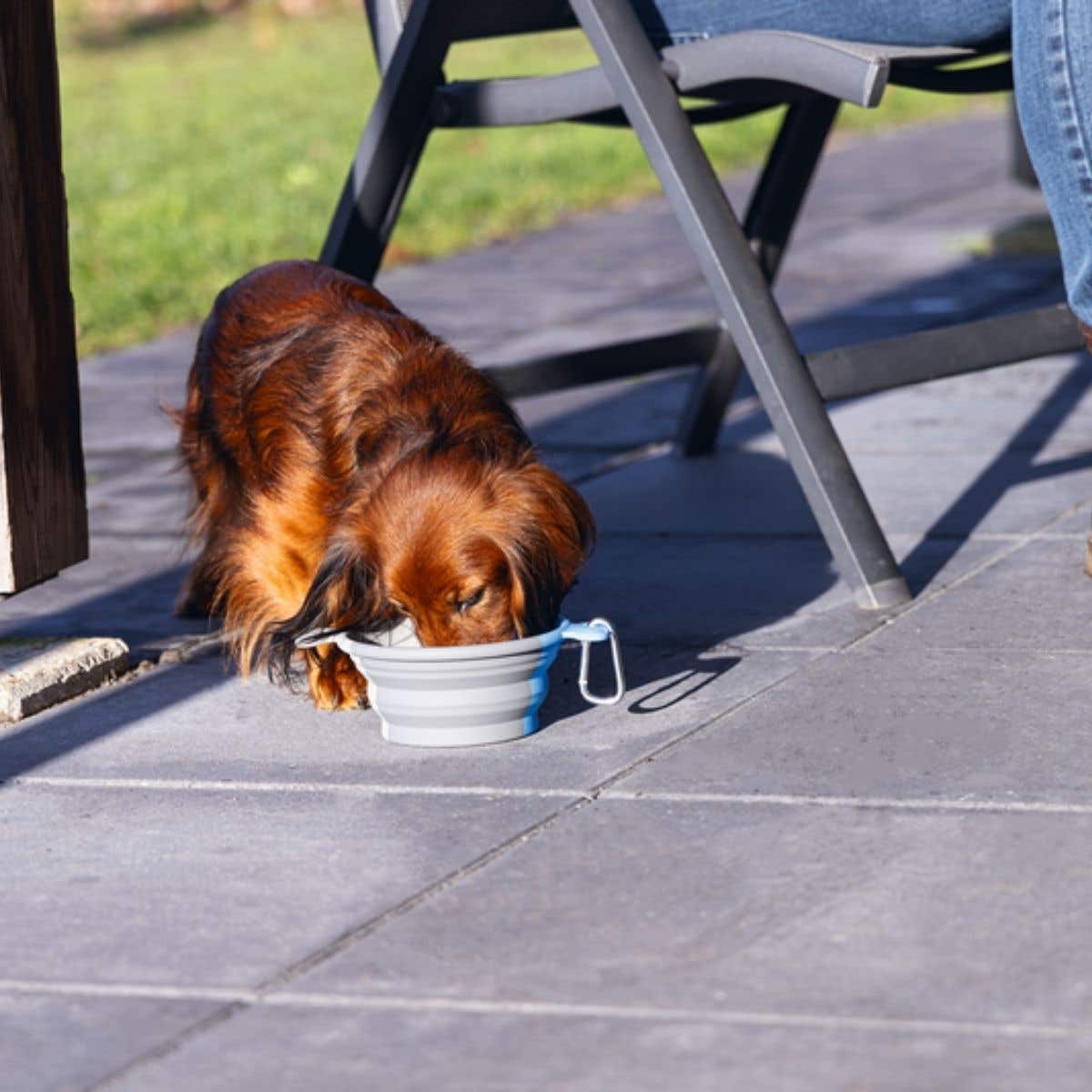 Beeztees Reisbak Hond Rua Blauw 21 x 15.5 x 2 cm