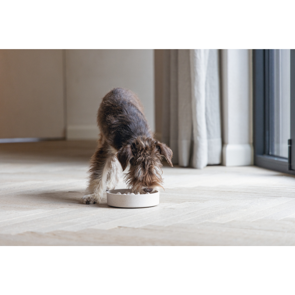 Designed by Lotte Hondenvoerbak Anti Schrok Pom Beige 800 ml 17 x 17 x 4.5 cm