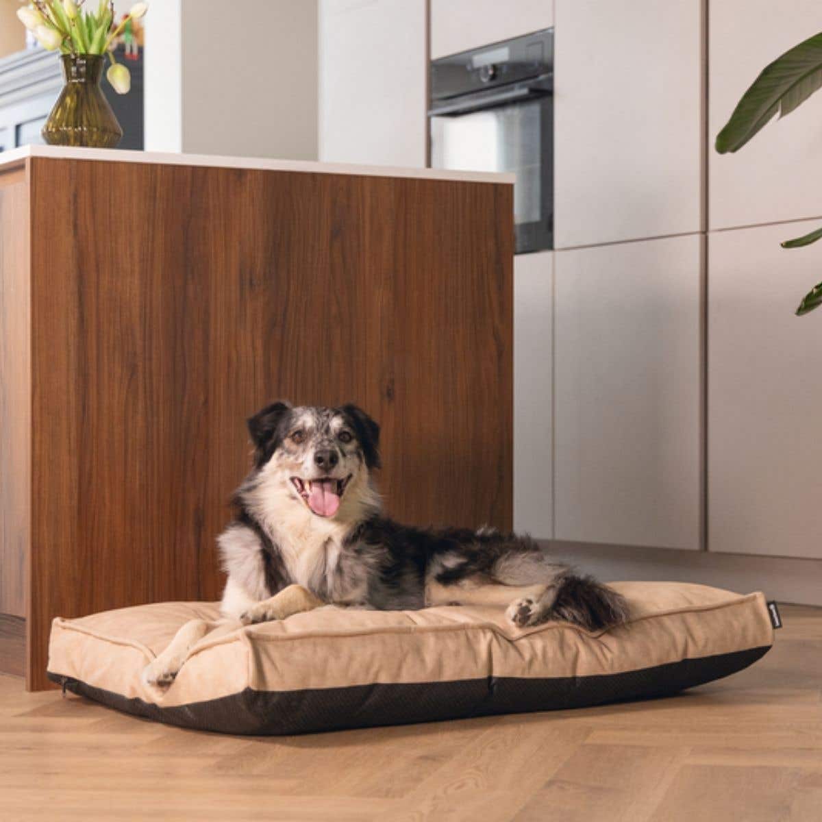 Beeztees Hondenkussen Orthopedisch Lua Beige 100 x 70 cm