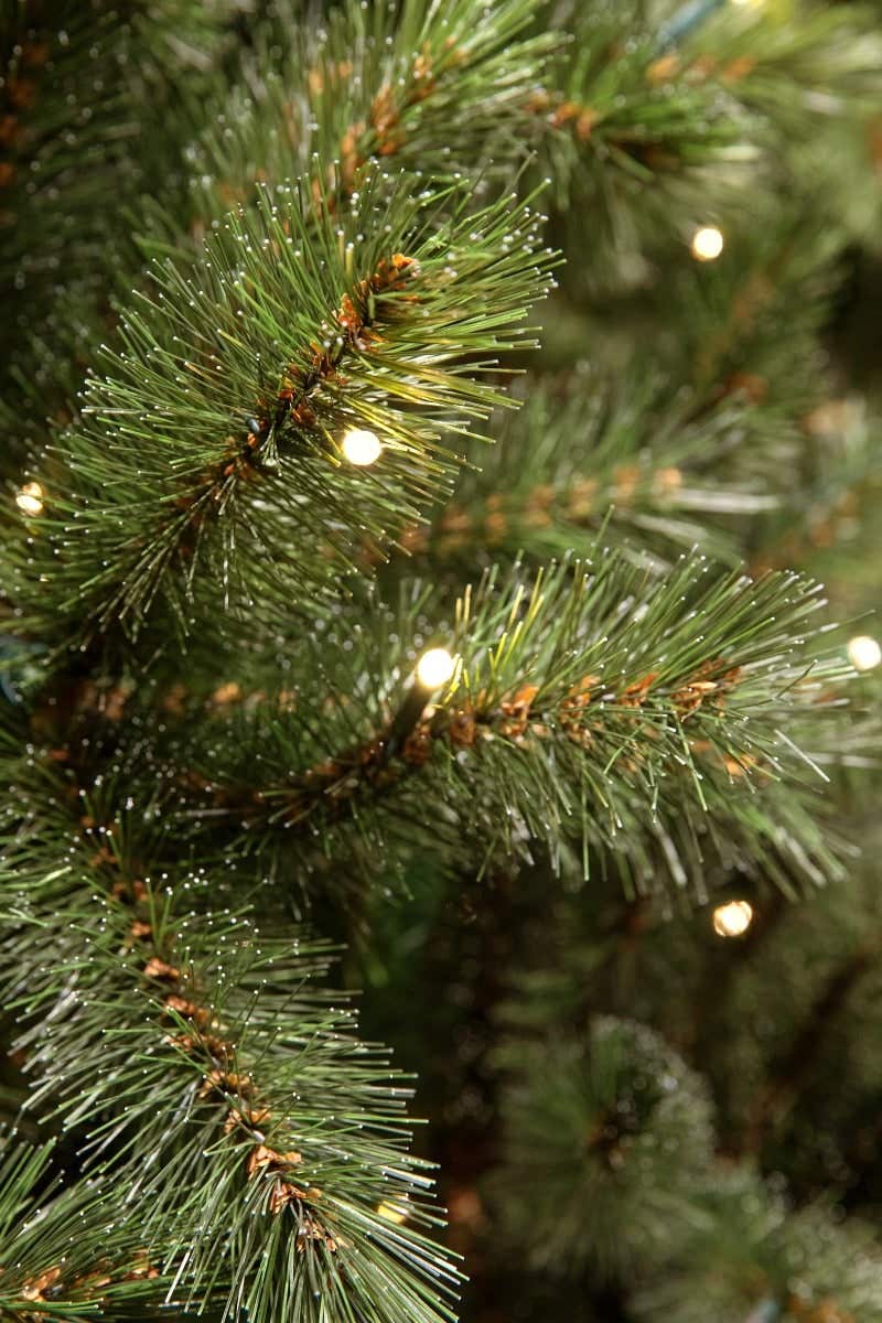 Triump Tree Kunstkerstboom Forest Frosted Groen met Verlichting 185 x 102 cm