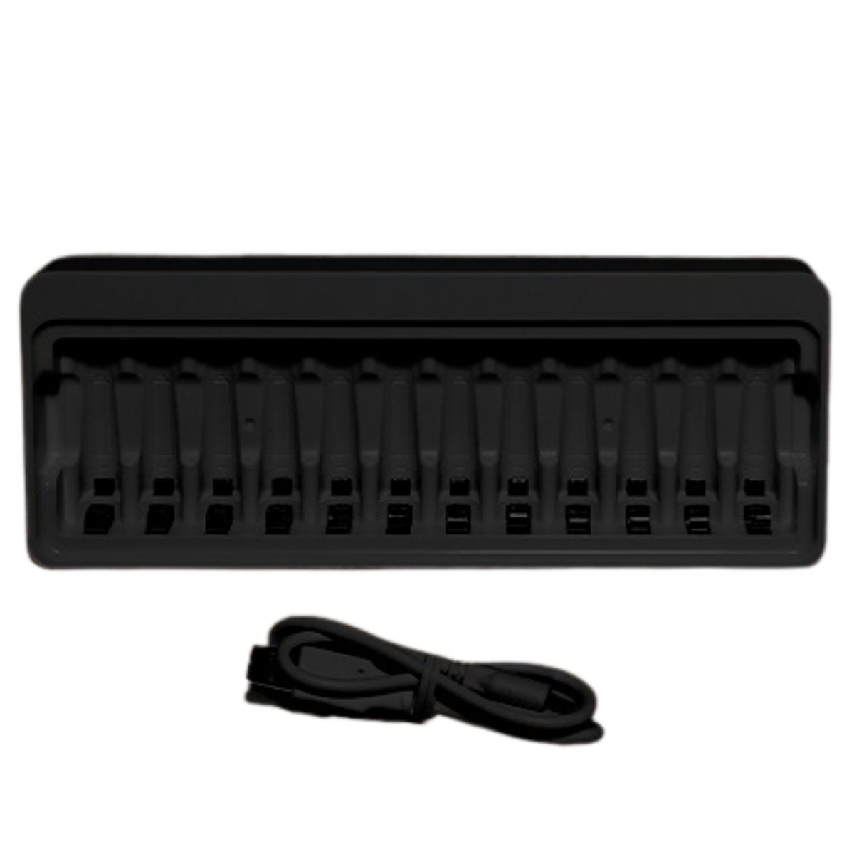 Anna's Collection Batterijlader voor 12 AA/AAA Batterijen