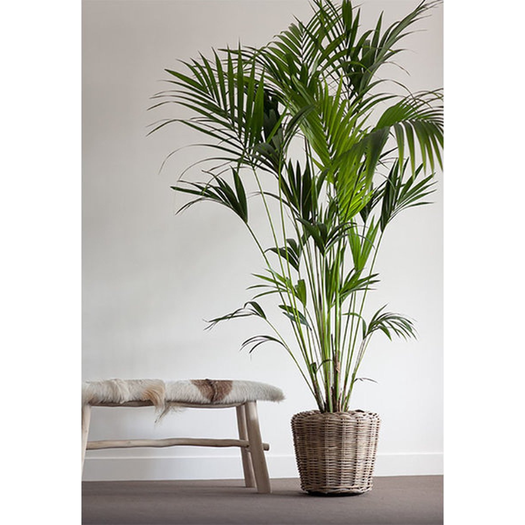 Van der Leeden Drypot Rotan Grijs 43x33