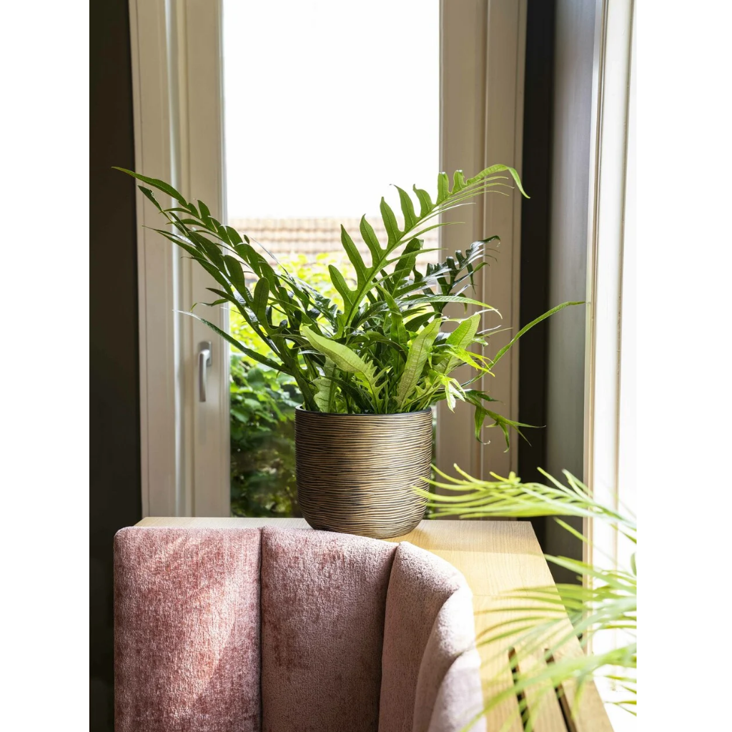 Capi Europe Bloempot Rib Zwart Goud 24 x 21 cm