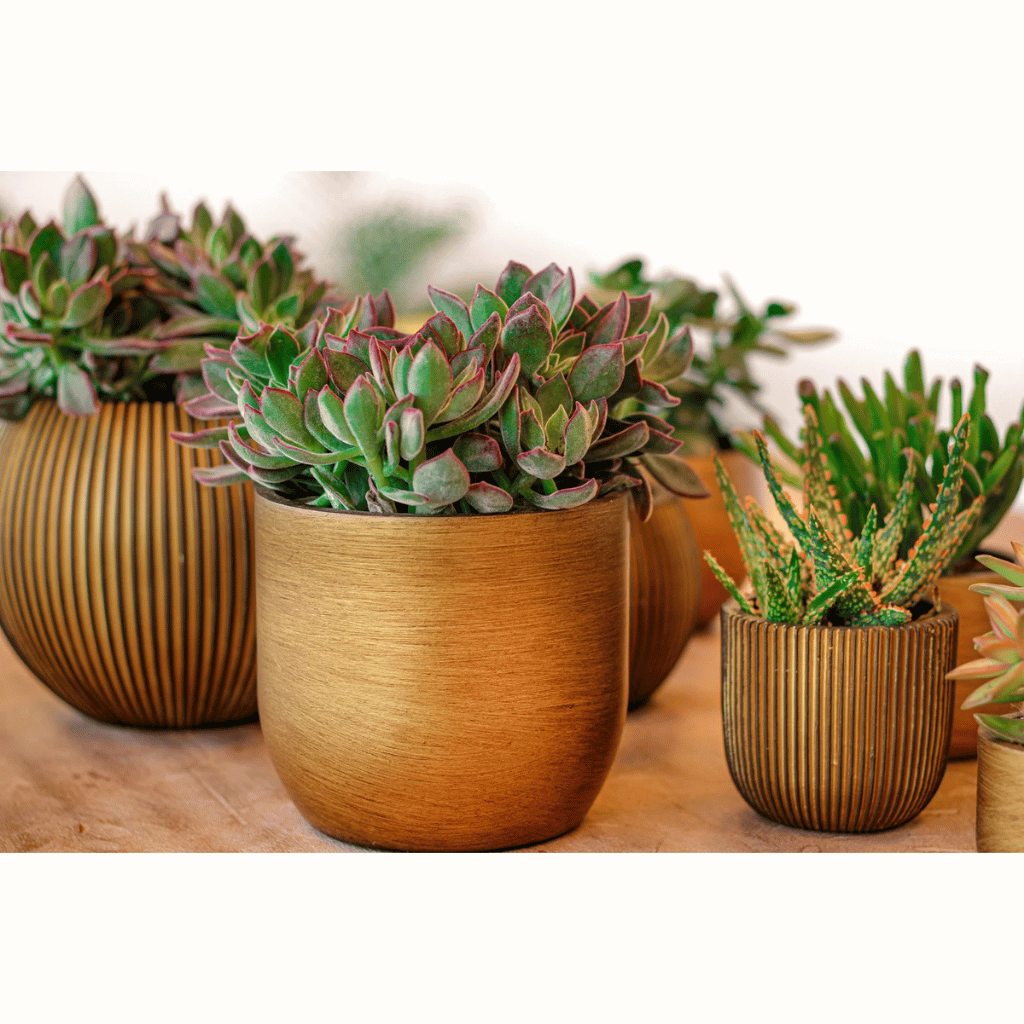 Capi Europe Vaas bol Groove zwart goud 18 x 18 x 15 cm
