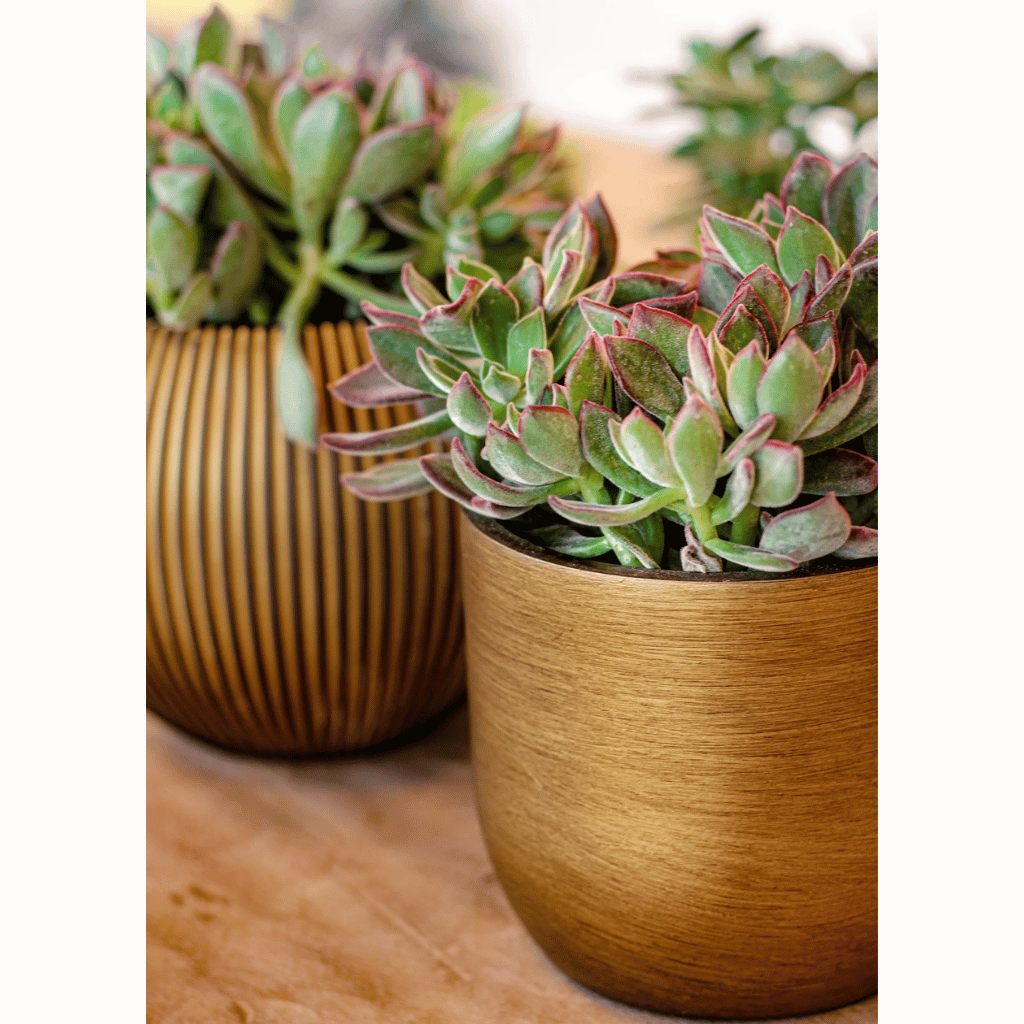 Capi Europe Vaas bol Groove zwart goud 18 x 18 x 15 cm