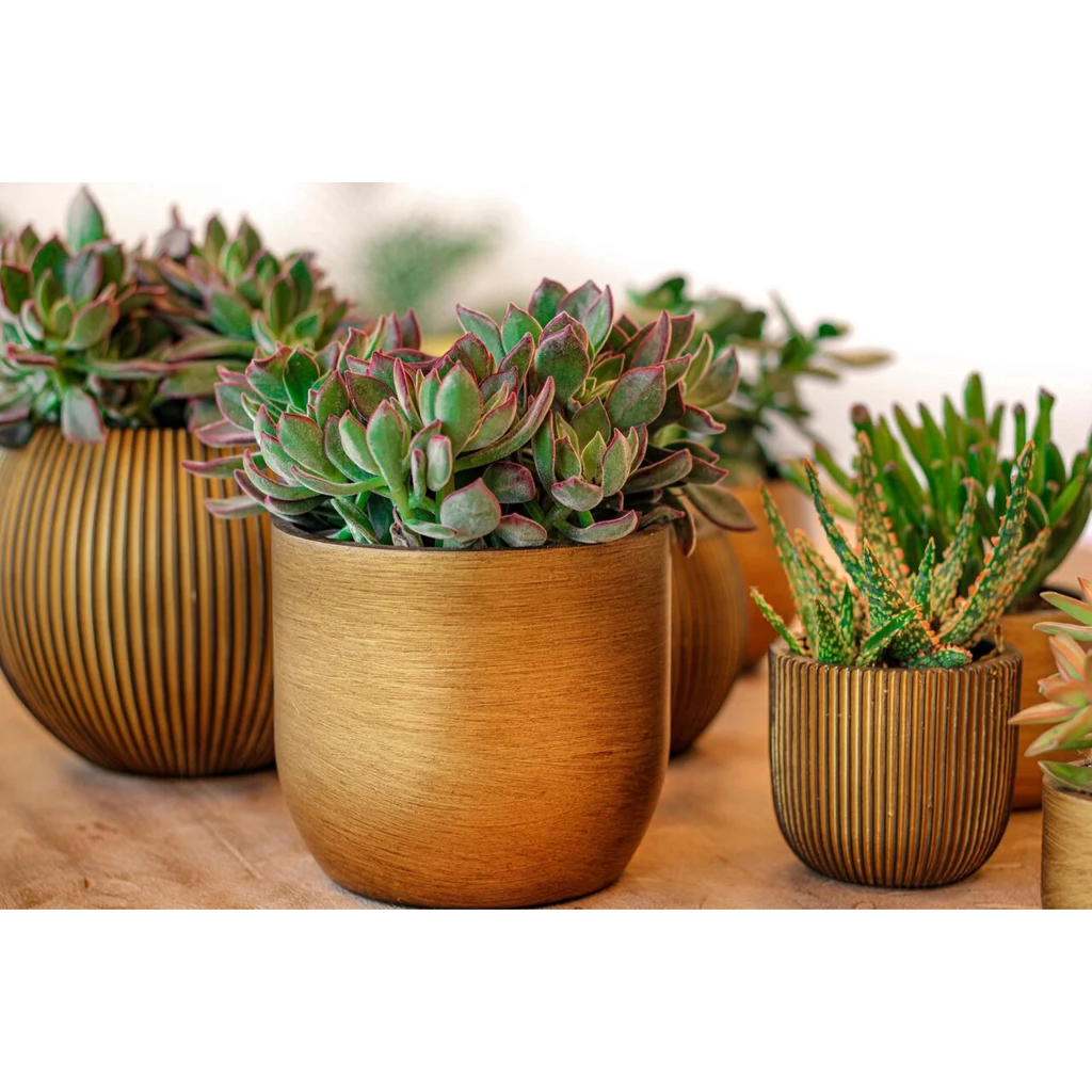 Capi Europe Pot bol Groove zwart goud 8 x 8 x 7 cm