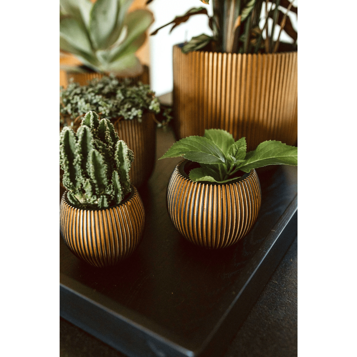 Capi Europe Pot bol Groove zwart goud 9 x 9 x 8 cm