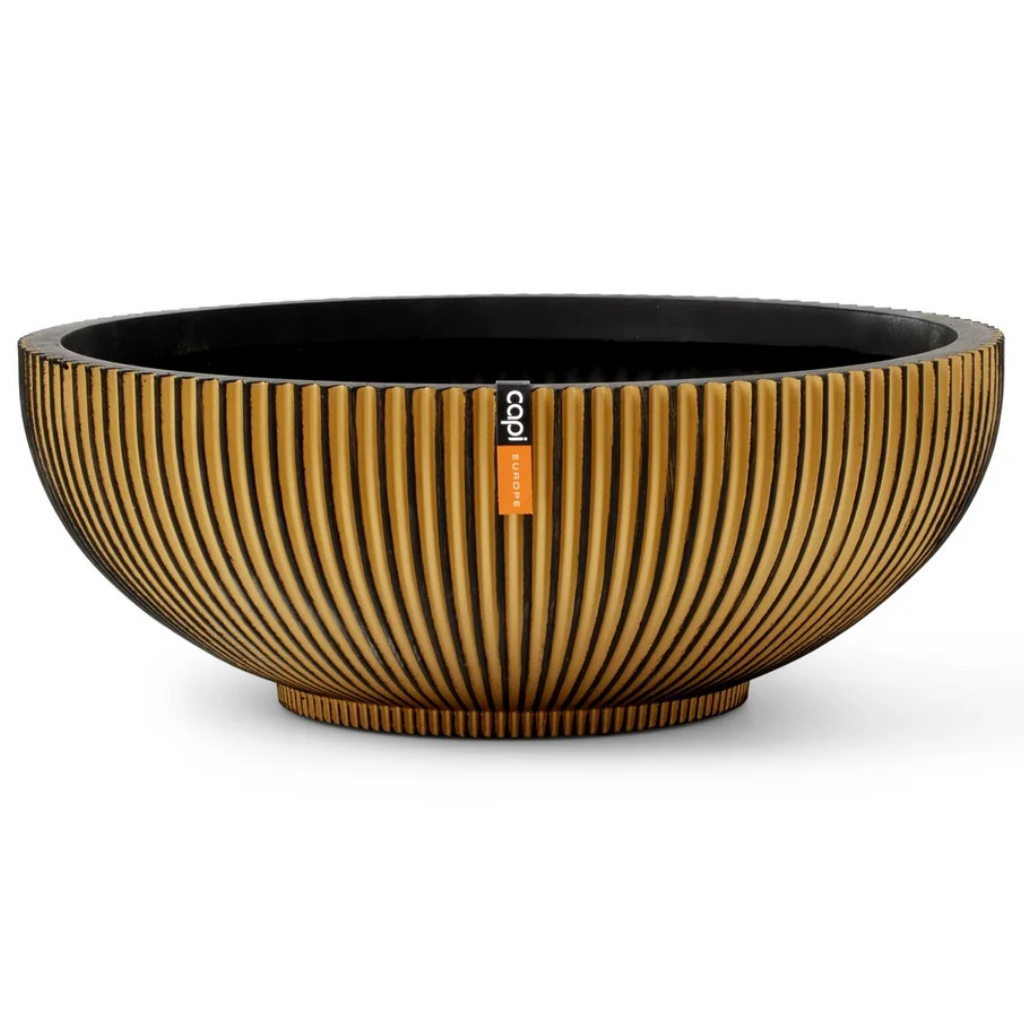 Capi Europe Schaal Groove Zwart Goud 40 x 15 cm