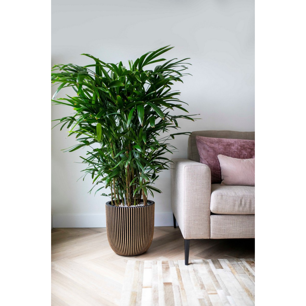 Capi Europe Bloempot Groove Zwart Goud 43 x 41 cm