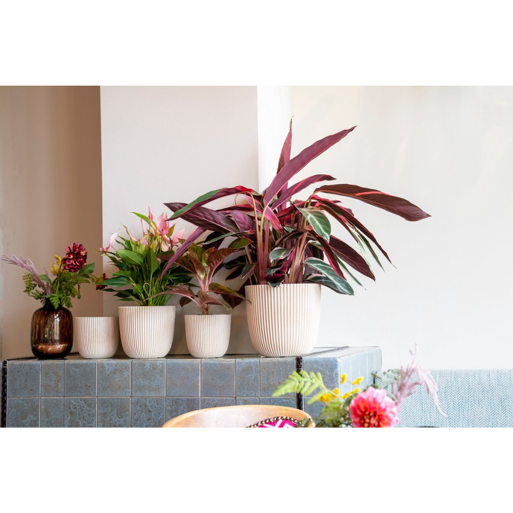 Capi Europe Pot bol Groove zaagsel beige