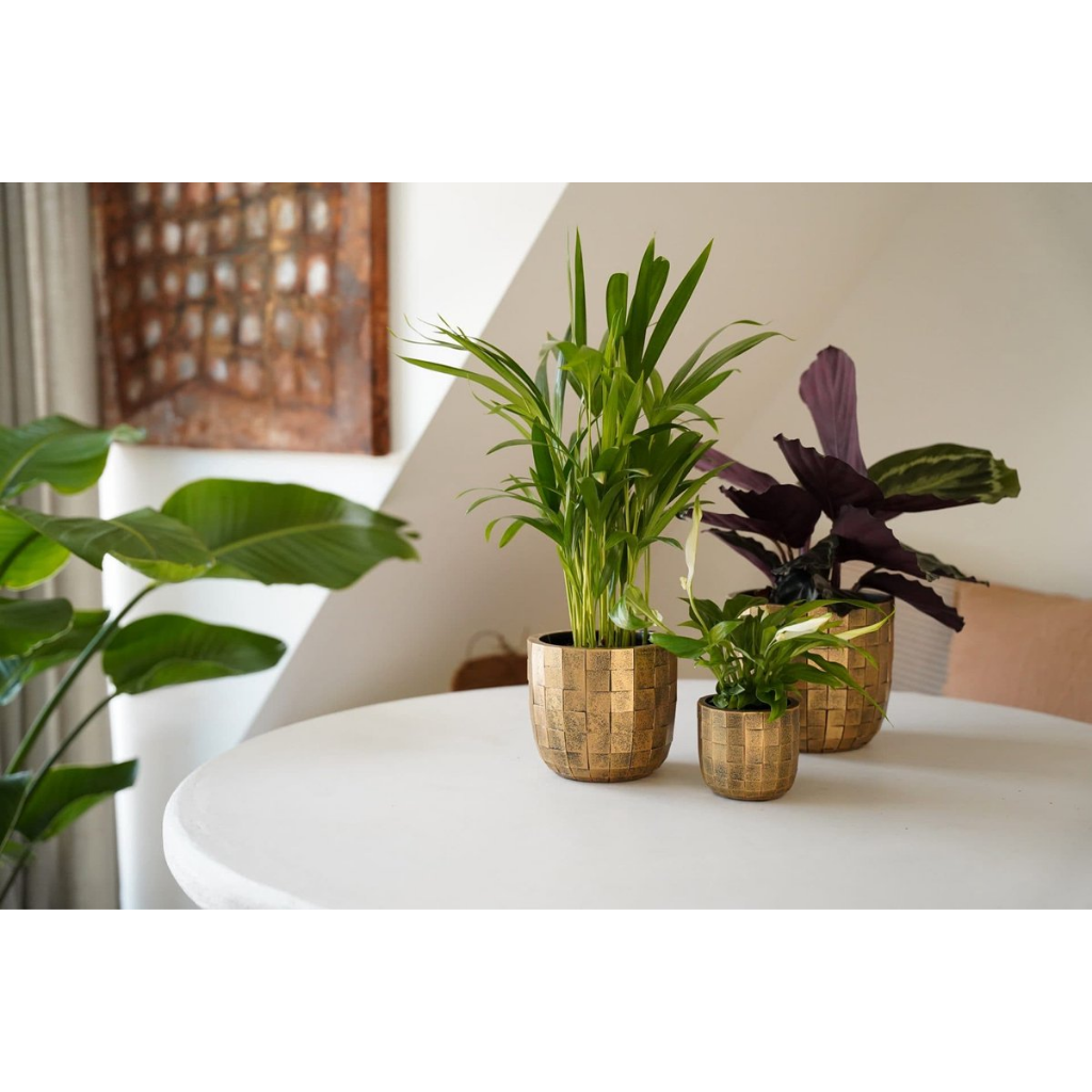 Capi Europe Bloempot Blocks Zwart Goud 14 x 13 cm