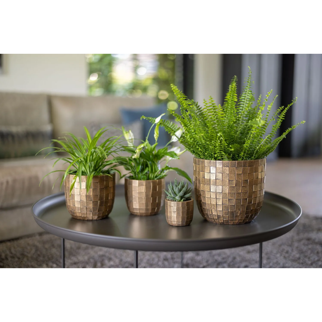 Capi Europe Bloempot Blocks Zwart Goud 24 x 21 cm