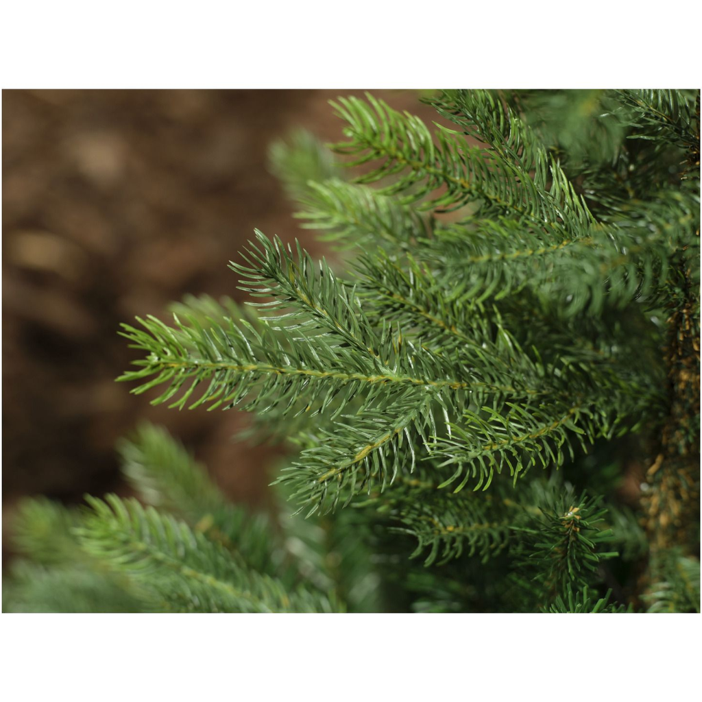 Everlands Kunstkerstboom Grandis Fir Groen 210 x 150 cm