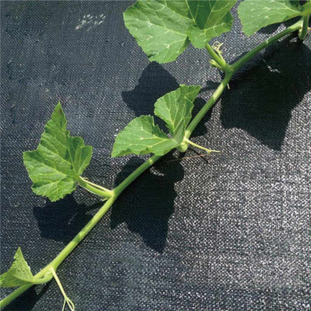 Garden Expert Gronddoek zwart pakket 1 x 10 m 100g/m²
