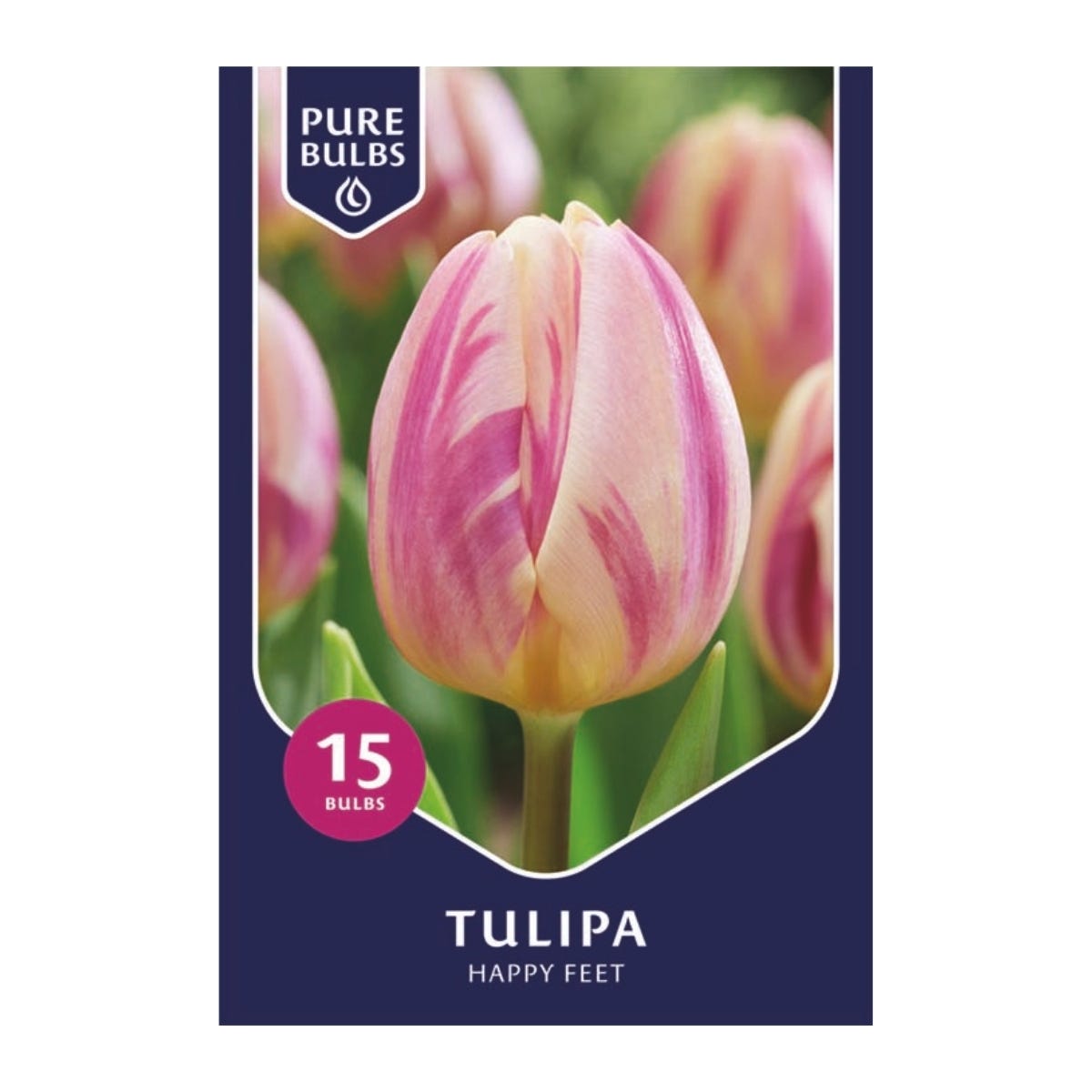 Pure Bulbs Bloembollen Tulp (Tulipa 'Happy Feet') 15 stuks