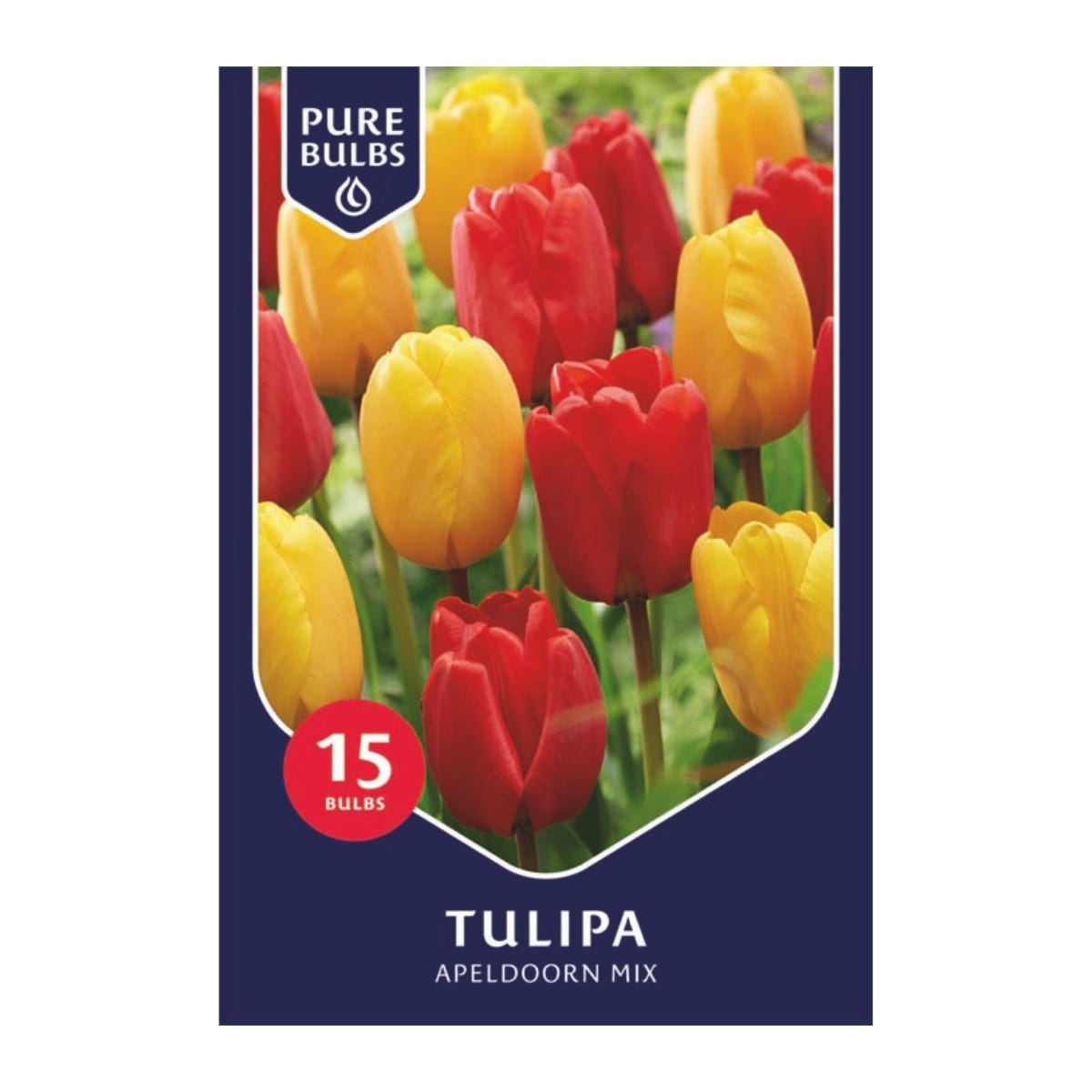 Pure Bulbs Bloembollen Tulp (Tulipa 'Apeldoorn Mix') 15 stuks