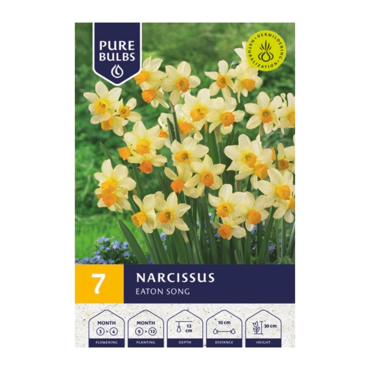 Pure Bulbs Bloembollen Narcis (Narcissus 'Eaton Song') 7 stuks