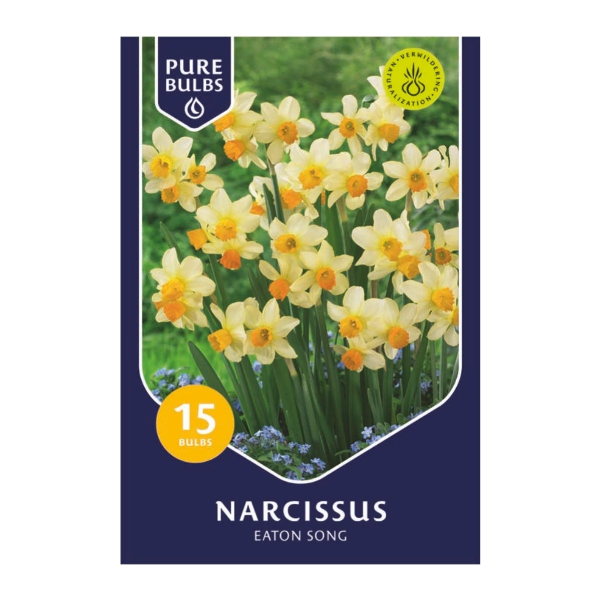 Pure Bulbs Bloembollen Narcis (Narcissus 'Eaton Song') 15 stuks