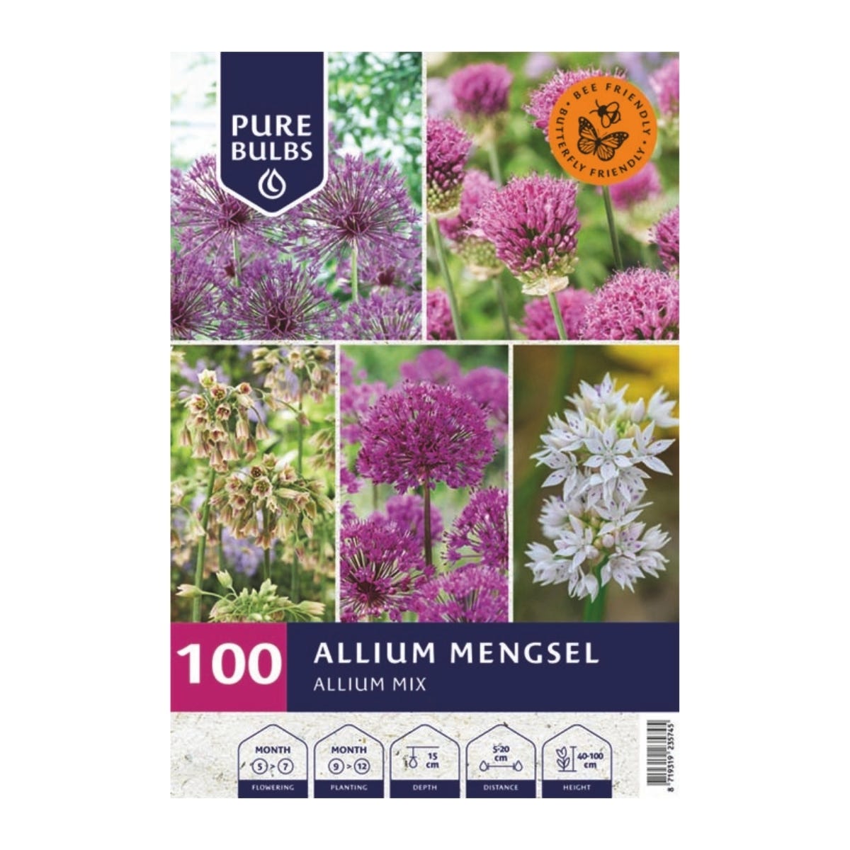 Pure Bulbs Bloembollen Allium Mengsel 100 stuks
