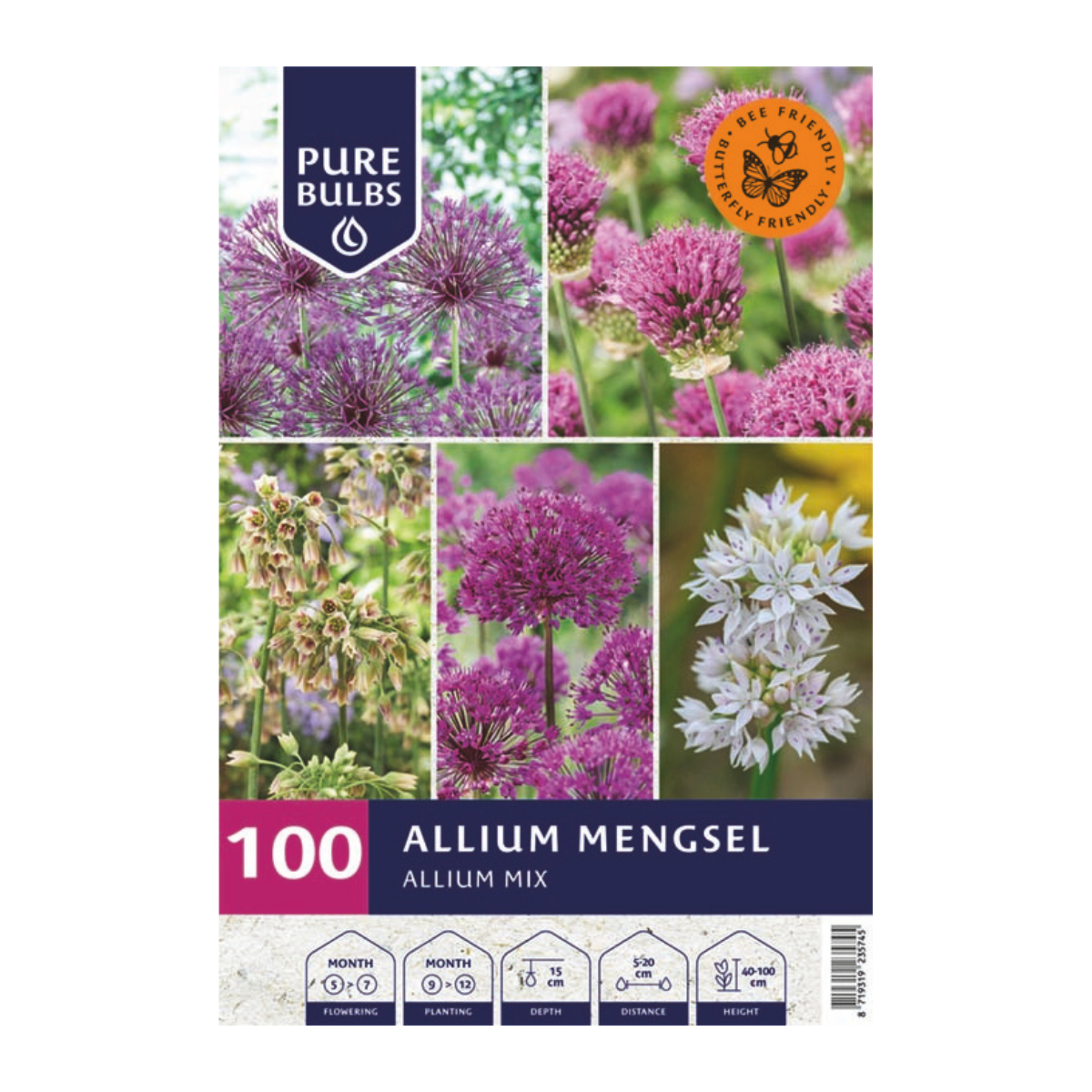 Pure Bulbs Bloembollen Allium Mengsel 100 stuks