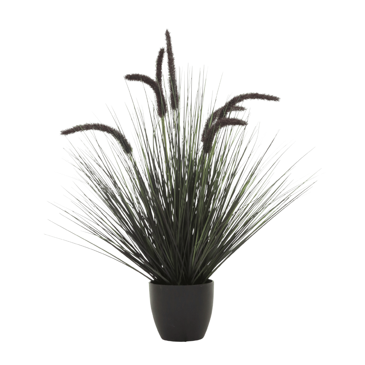 De Bosrand Kunstplant Pluimgras Dogtail Zwart 68 cm