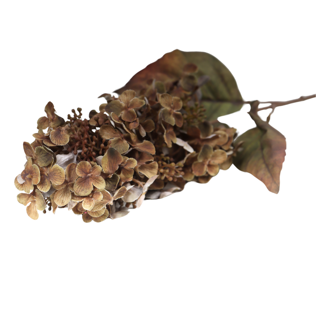 Sering bruin 70 cm