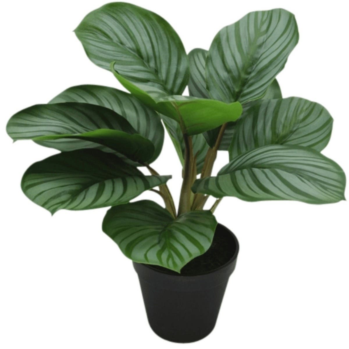 De Bosrand Kunstplant Pijlwortel 34 cm
