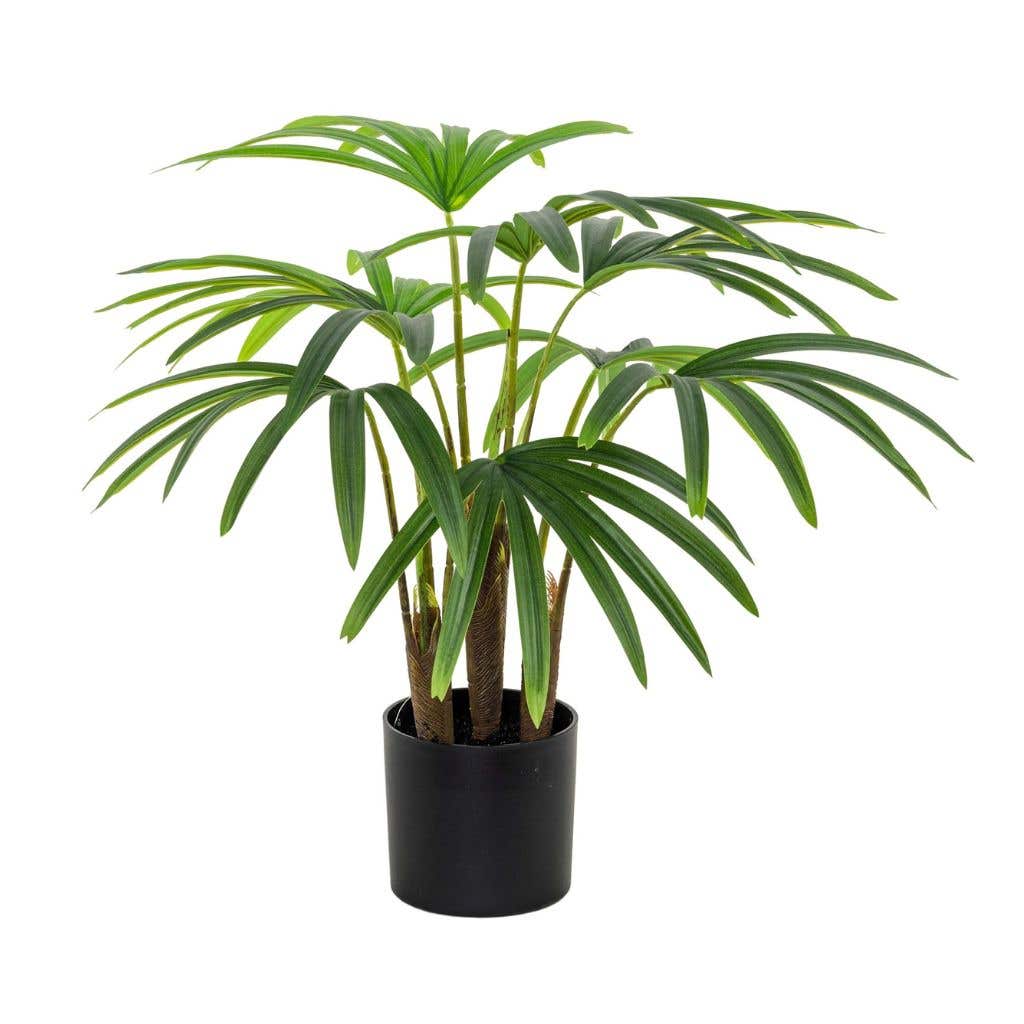 Kunstplant Bamboepalm H 60 cm