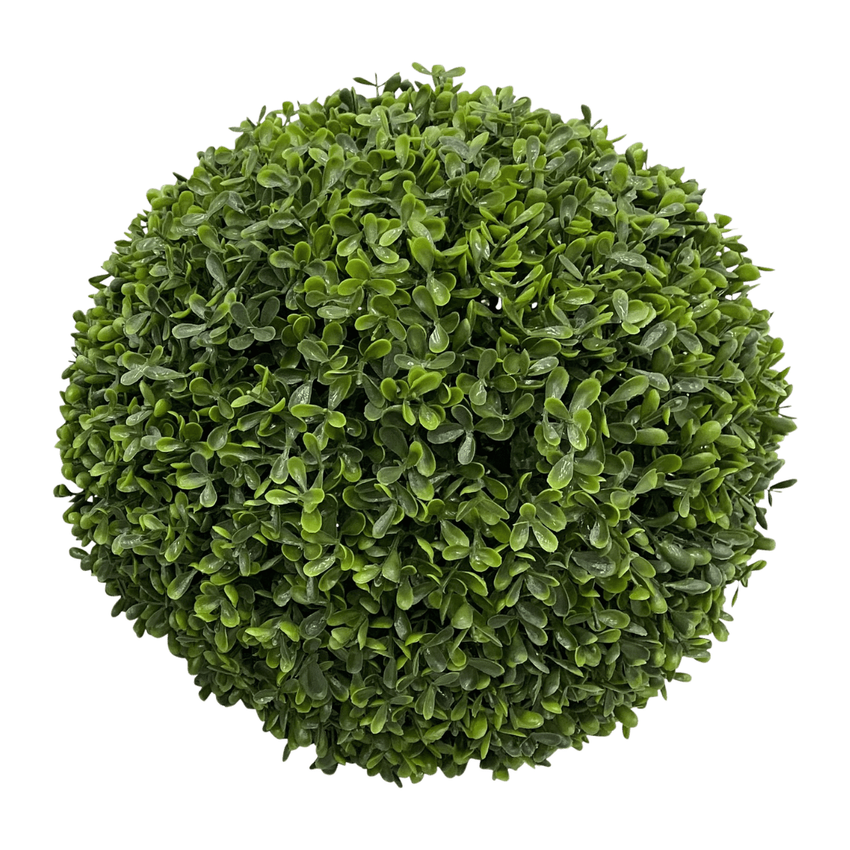 De Bosrand Buxusbol Groen 30 cm