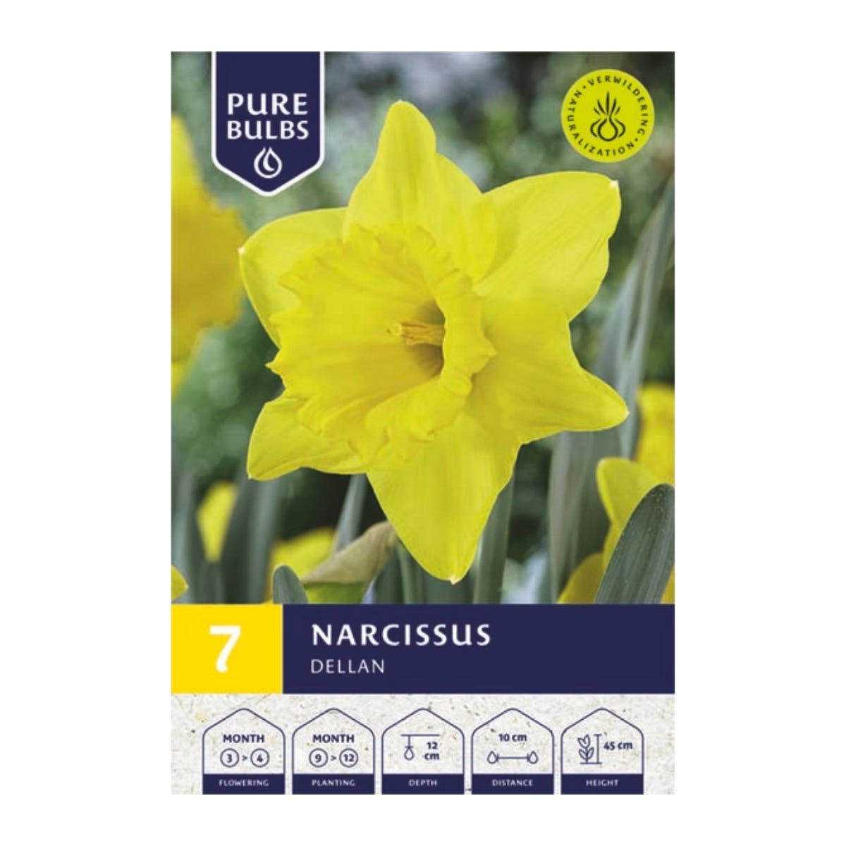 Pure Bulbs Bloembollen Narcis (Narcissus 'Dellan') 7 stuks