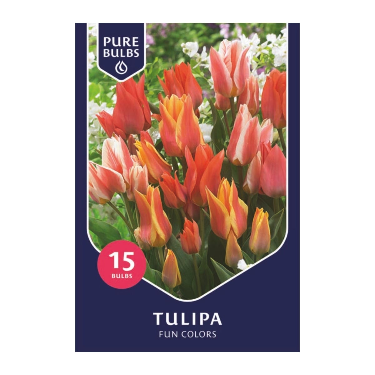 Pure Bulbs Bloembollen Tulp (Tulipa 'Fun Colors') 15 stuks