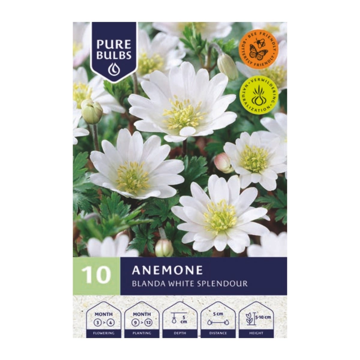 Pure Bulbs Bloembollen Anemoon (Anemone 'Blanda White Splendour') 10 stuks