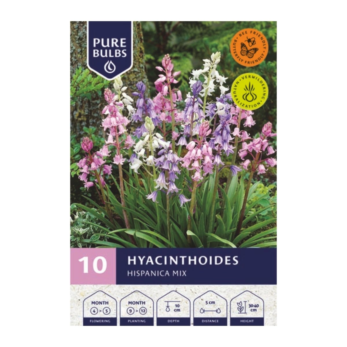 Pure Bulbs Bloembollen Boshyacint (Hyacinthoides 'Hispanica mix') 10 stuks
