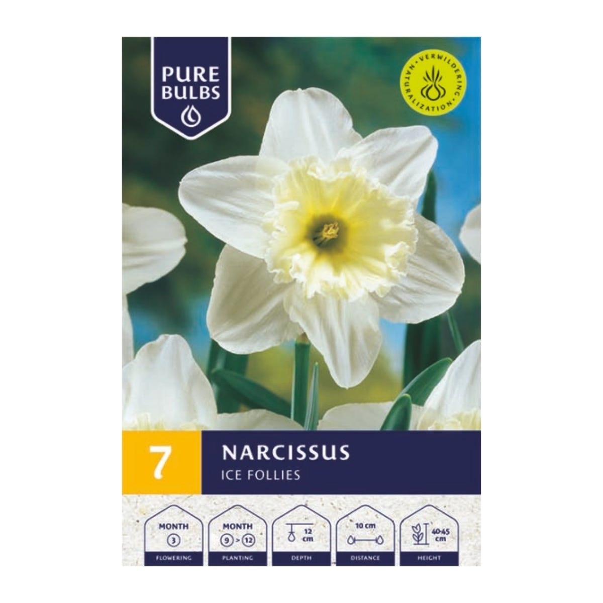 Pure Bulbs Bloembollen Narcis (Narcissus 'Ice Follies') 7 stuks