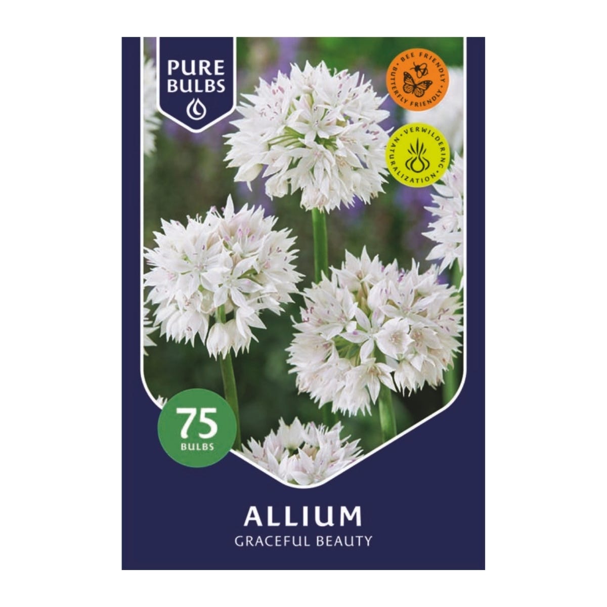 Pure Bulbs Bloembollen Sierui (Allium 'Graceful Beauty') 75 stuks