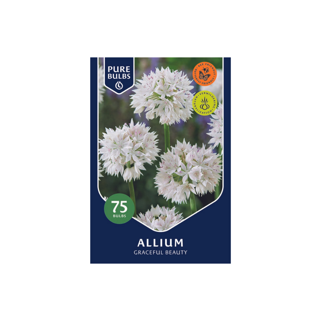 Pure Bulbs Bloembollen Sierui (Allium 'Graceful Beauty') 75 stuks