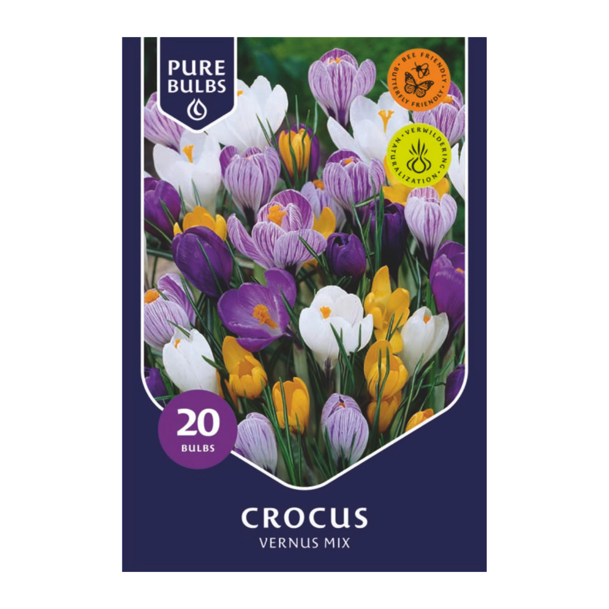 Pure Bulbs Bloembollen Krokus (Crocus 'Vernus Mix') 20 stuks