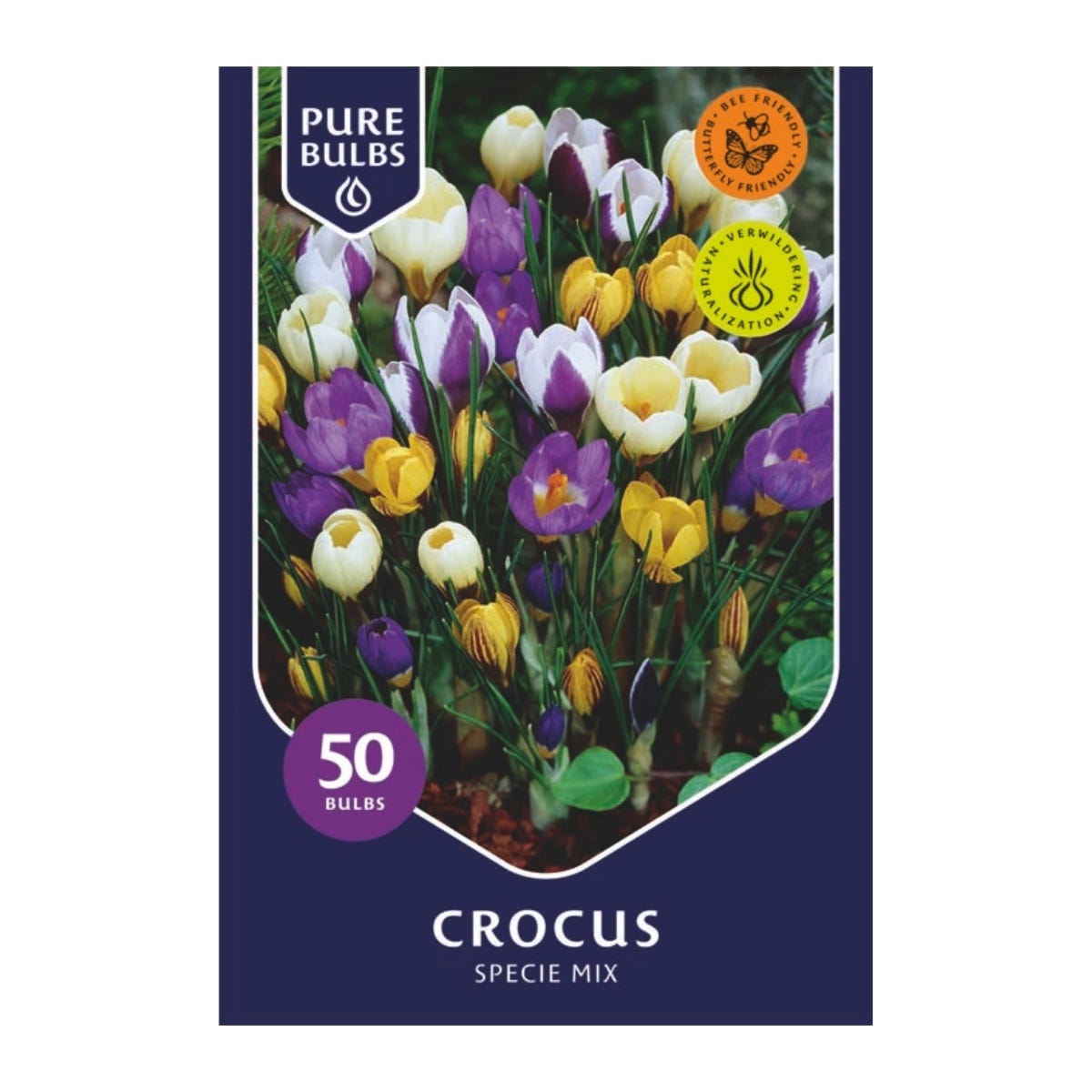 Pure Bulbs Bloembollen Krokus (Crocus 'Specie mix') 50 stuks