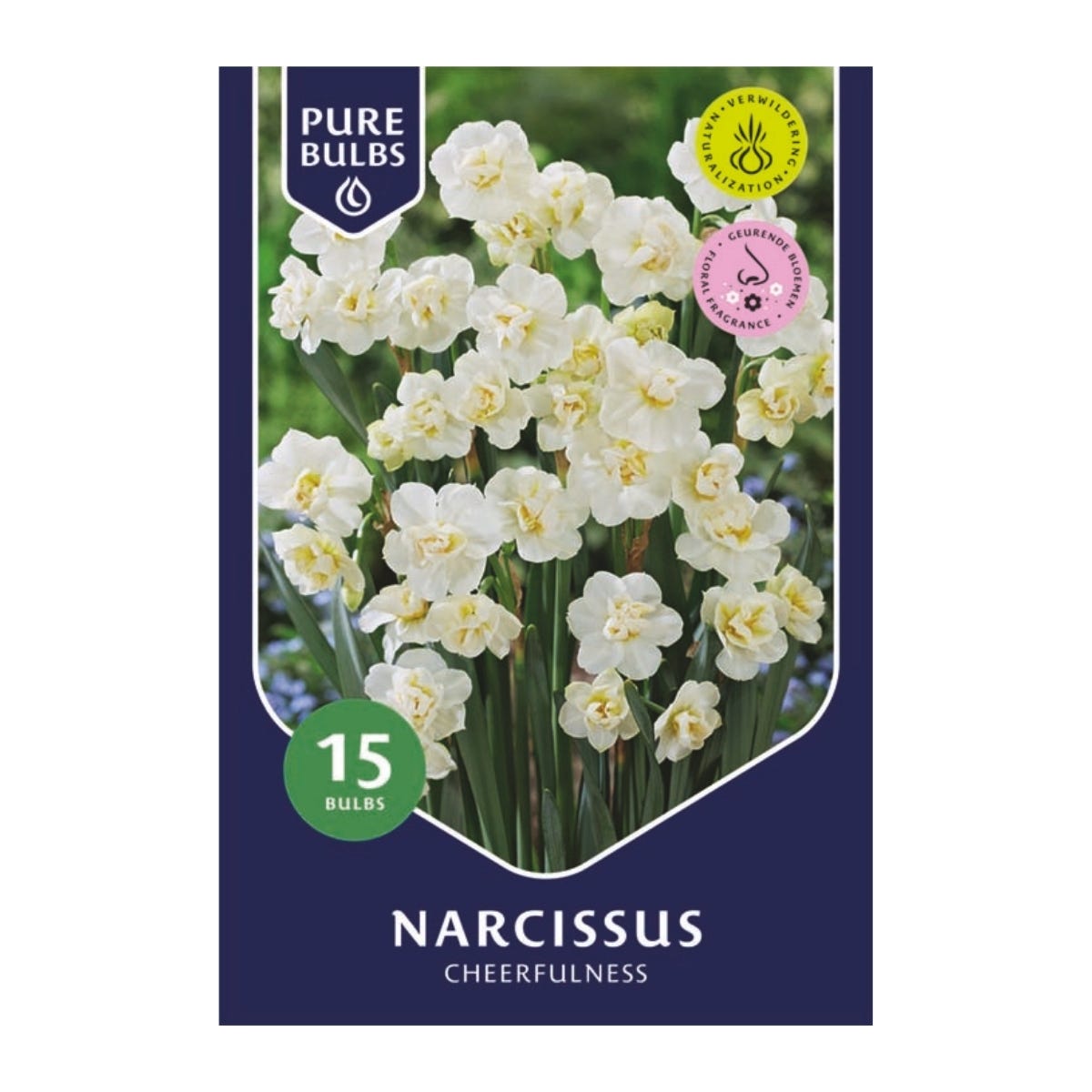 Pure Bulbs Bloembollen Narcis (Narcissus 'Cheerfulness') 15 stuks
