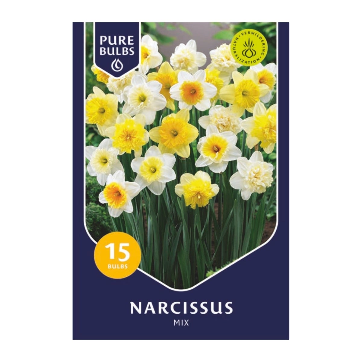 Pure Bulbs Bloembollen Narcis (Narcissus 'Mix') 15 stuks