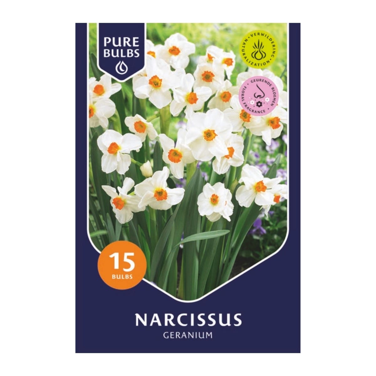 Pure Bulbs Bloembollen Narcis (Narcissus 'Geranium') 15 stuks