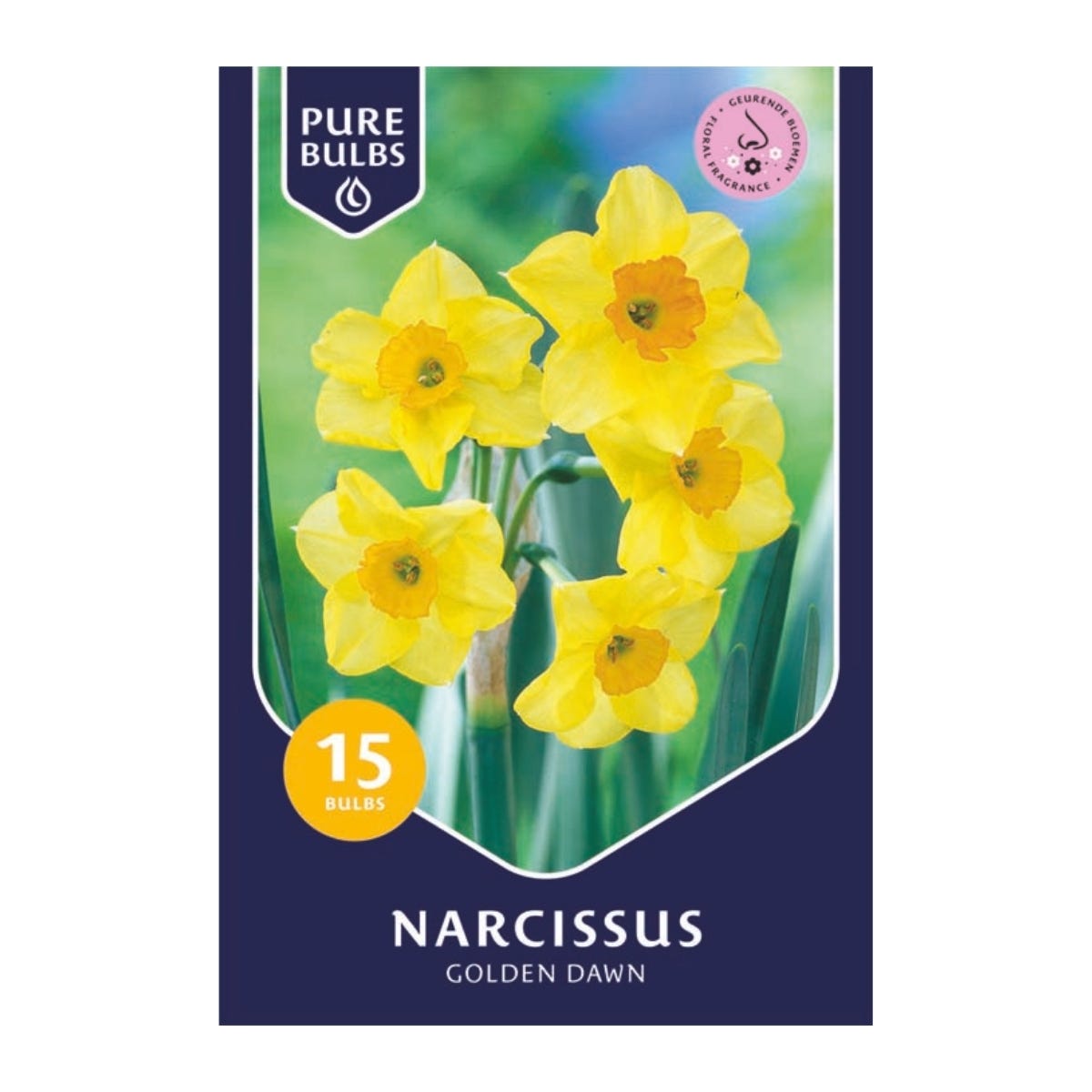 Pure Bulbs Bloembollen Narcis (Narcissus 'Golden Dawn') 15 stuks