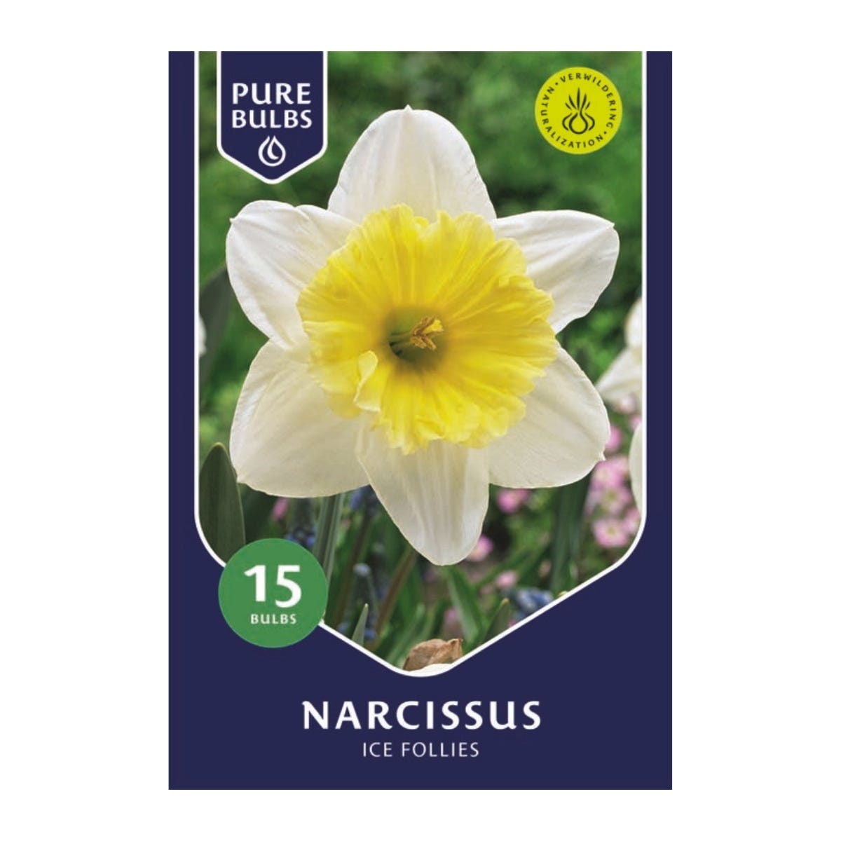 Pure Bulbs Bloembollen Narcis (Narcissus 'Ice Follies') 15 stuks